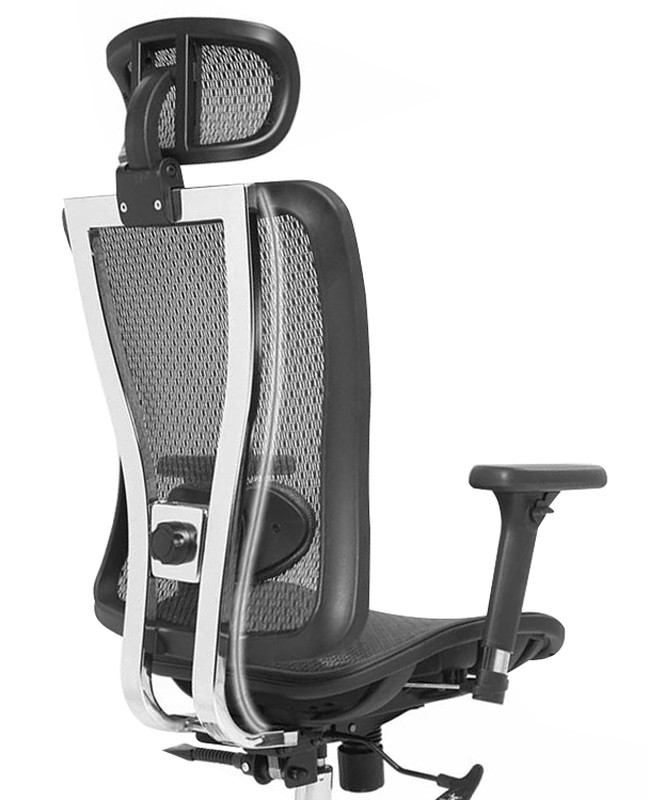 Cadeira Ergonômica Flexive Presidente - Tela Mesh