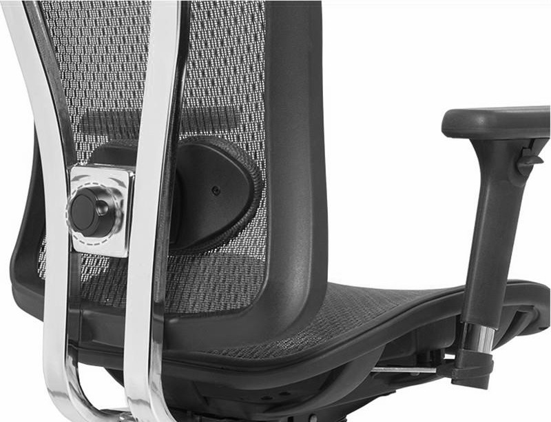 Cadeira Ergonômica Flexive Presidente - Tela Mesh