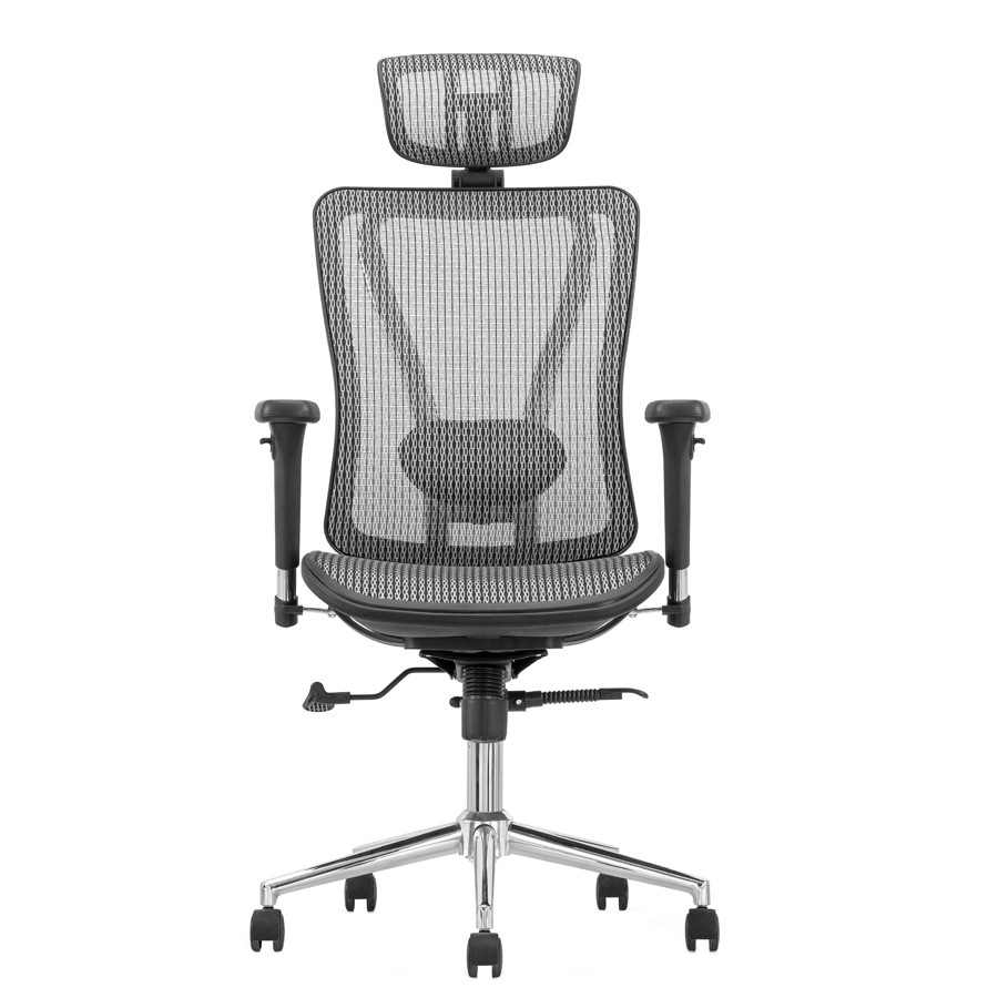 Cadeira Ergonômica Flexive Presidente - Tela Mesh