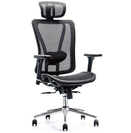 Cadeira Ergonômica Flexive Presidente - Tela Mesh