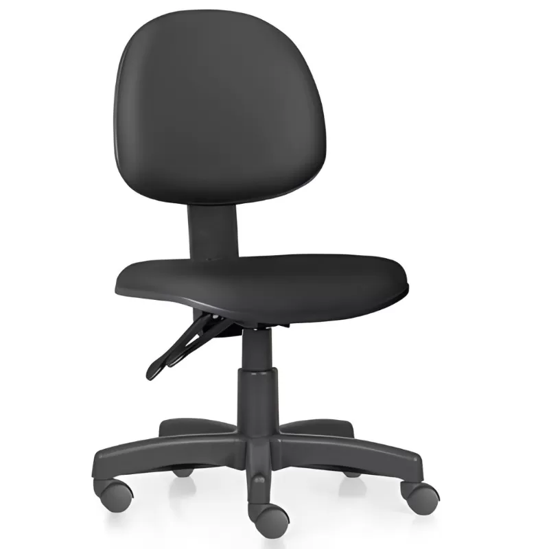 Cadeira Executiva Ergonômica NR17 Standart Plus 300 | Sem Braços